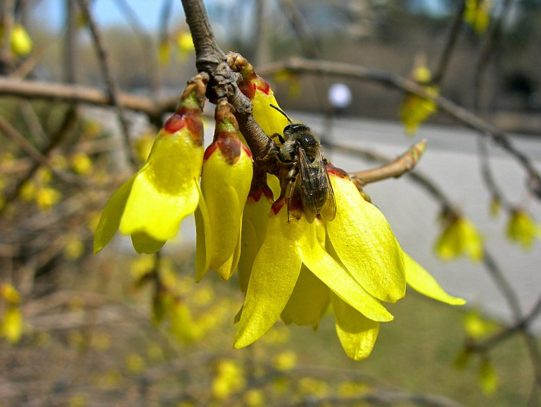 2-DSCN6702-3.jpg