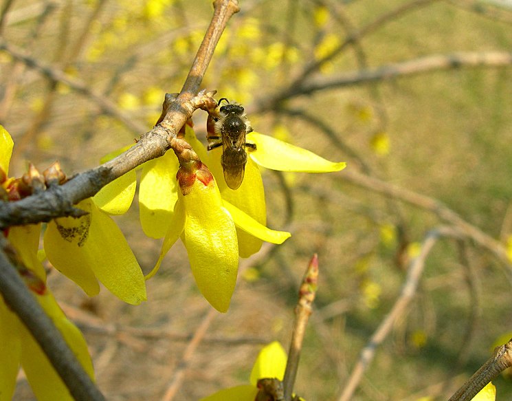 DSCN6681-3.jpg