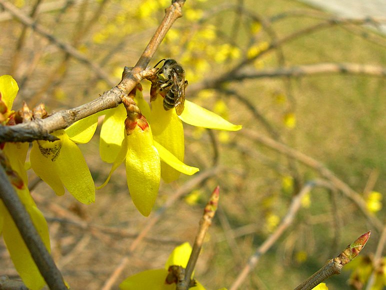 DSCN6683-3.jpg