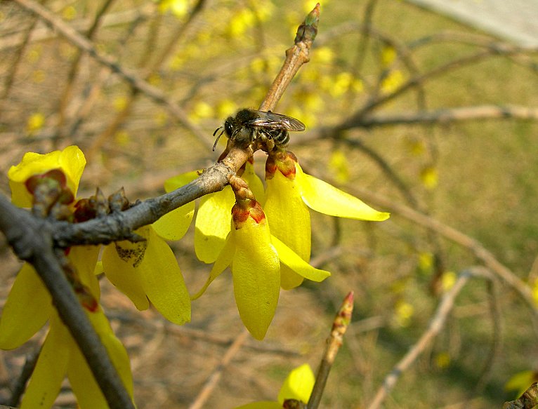 DSCN6684-3.jpg