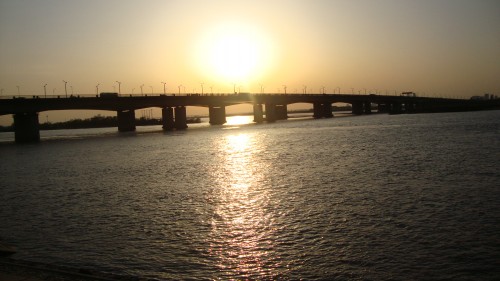 DSC02068_conew1.jpg