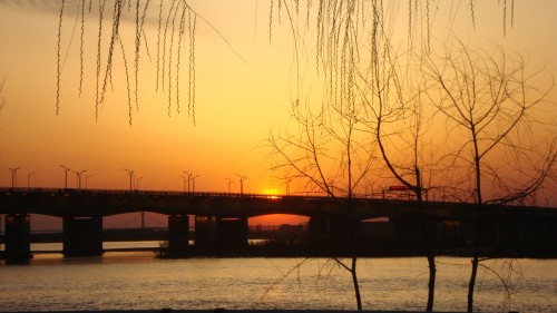 DSC02115_conew1.jpg