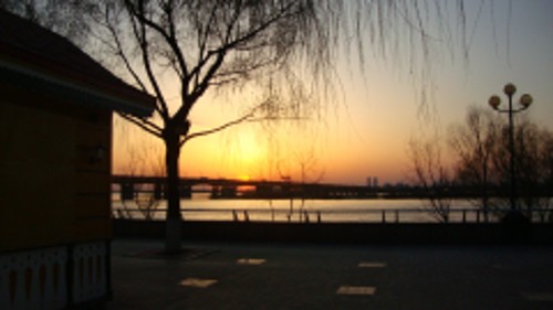DSC02117_conew1.jpg