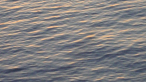 DSC02136_conew1.jpg