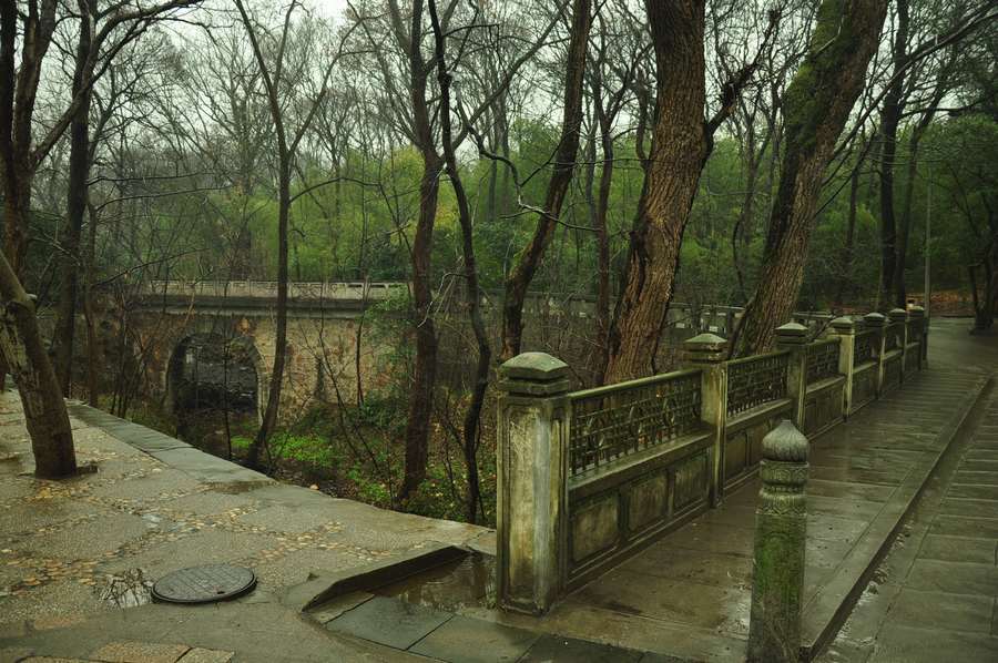 DSC_1258.jpg