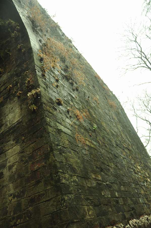 DSC_1267.jpg