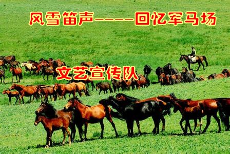 u=3583340259,2207893819&fm=23&gp=0_conew1.jpg