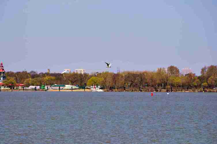 DSC_1976.jpg