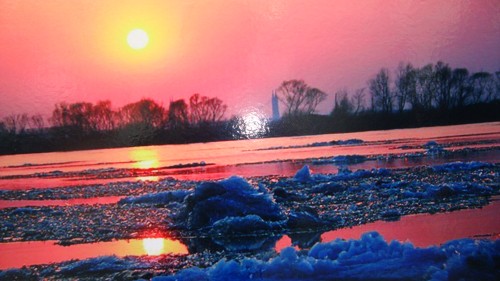 DSC02459_conew1.jpg