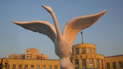 DSC02664_conew1.jpg