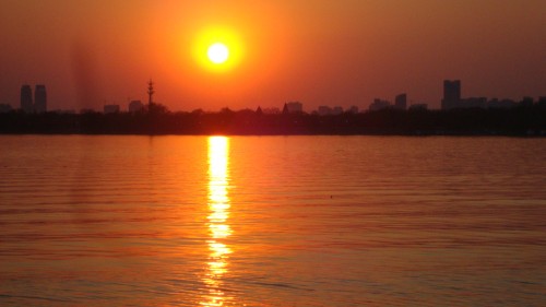 DSC02679_conew1.jpg