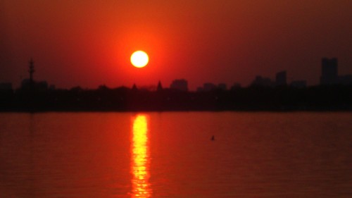 DSC02686_conew1.jpg