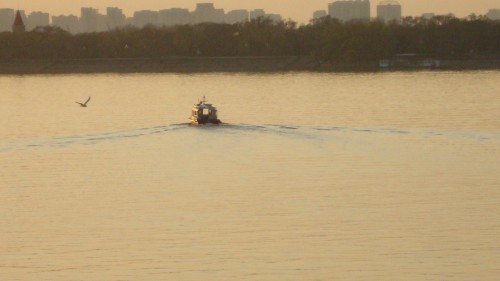 DSC02639_conew1.jpg
