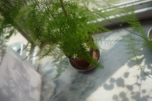 P1020315_.jpg