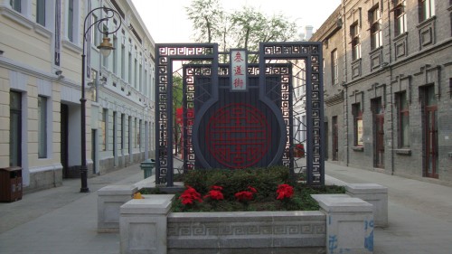 DSC03097_conew1.jpg