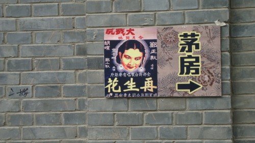 DSC03131_conew1.jpg