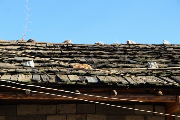 羰Ħ˴ԶƬ 065.jpg