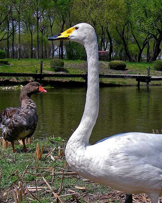 DSCN3689-3.jpg