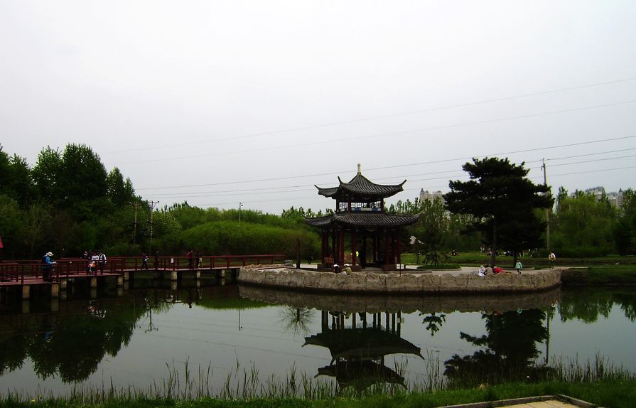 P5050059.JPG