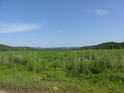 DSC00177_.jpg