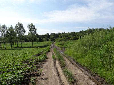 DSC00189_.jpg