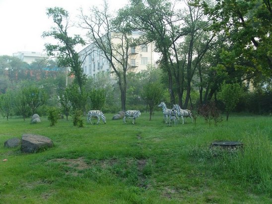 SNV10060.JPG
