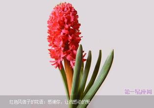 u=2000677804,557664128&fm=21&gp=0.jpg