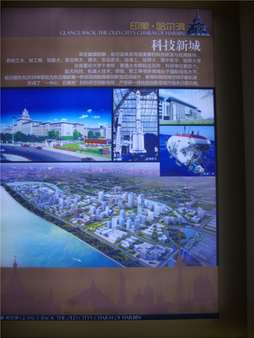 DSC07111.jpg