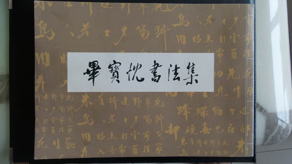 ϱ鷨棩.jpg