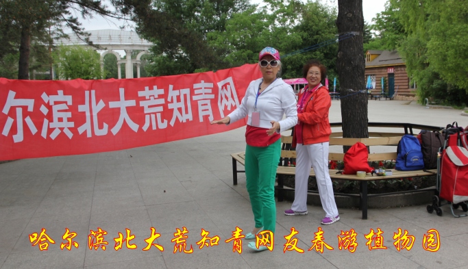 IMG_0917_conew1.jpg