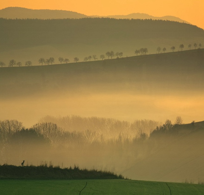 19LOU_2F854CFF540DFB1AD0DBEADE5214A84A667C127E.jpg