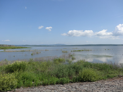 DSC00205_.jpg