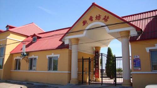 DSC05011_conew1.jpg
