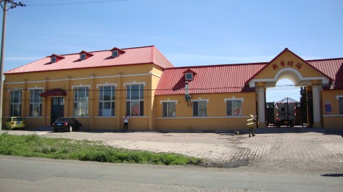DSC05006_conew1.jpg