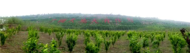 DSCF5452.jpg