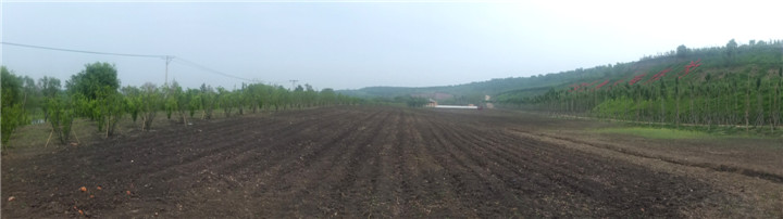 DSCF5454.jpg