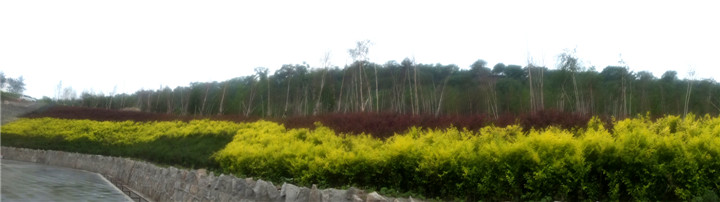 DSCF5431.jpg