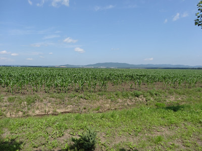 DSC00219_.jpg
