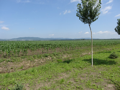 DSC00220_.jpg