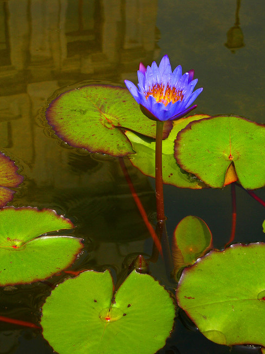 DSCN9522-3.jpg