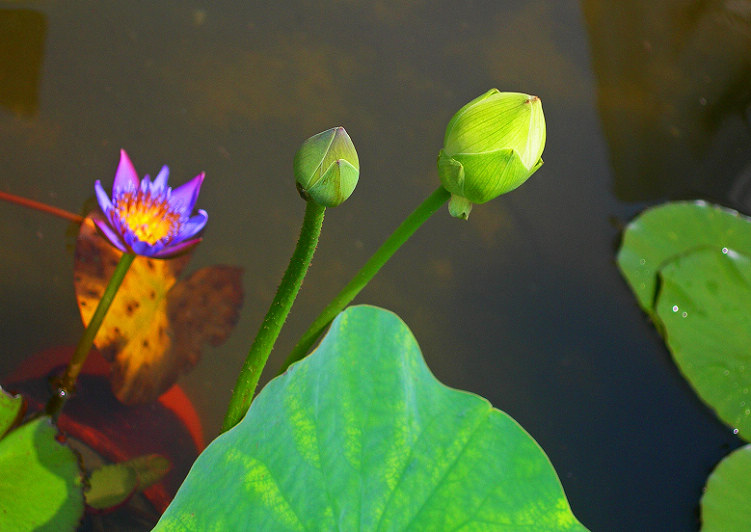 DSCN9531-3.jpg