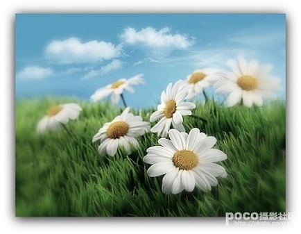 ]P`SM3TJ~2)M3((10ET5]81.jpg