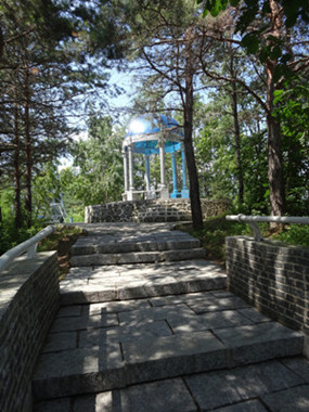 DSC00247_.jpg