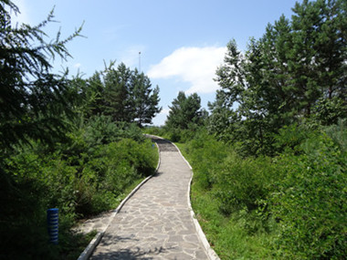 DSC00244_.jpg