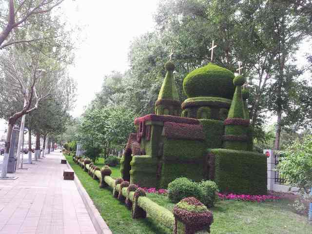 20130610_141609.jpg
