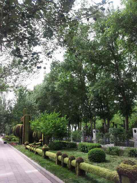 20130610_141720.jpg