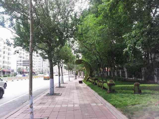 20130610_142023.jpg