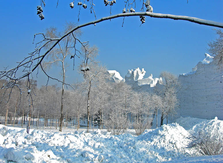 DSCN0703-3.jpg