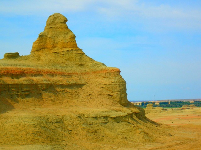 P7257428.jpg