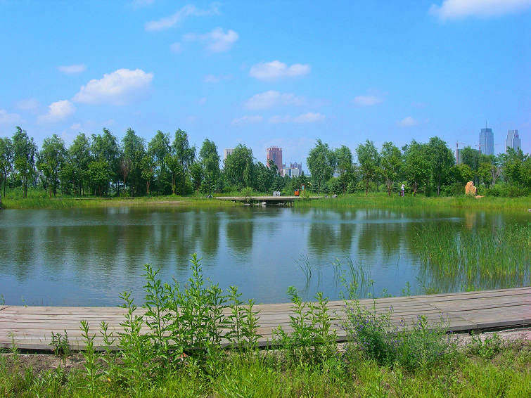 DSCN2047-3.jpg